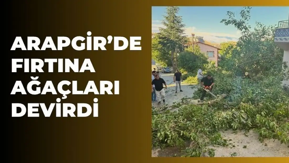 Arapgir'de fırtına ağaçları devirdi