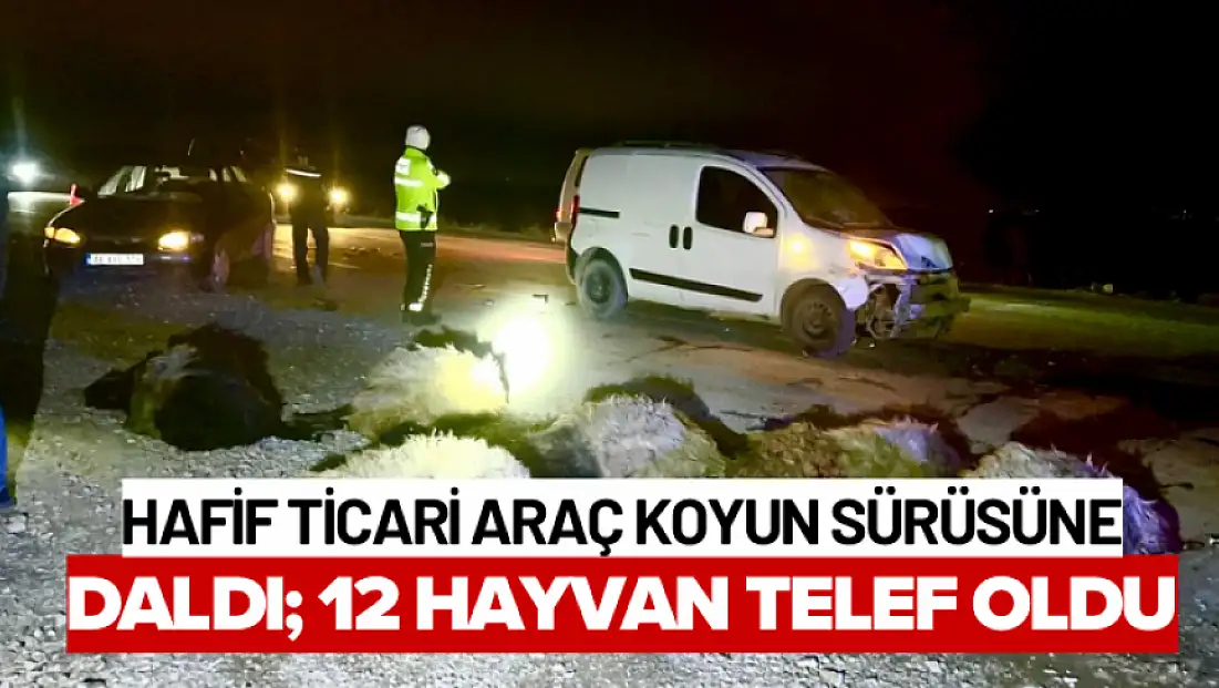 Hafif Ticari Araç Koyun Sürüsüne Daldı; 12 Hayvan Telef Oldu