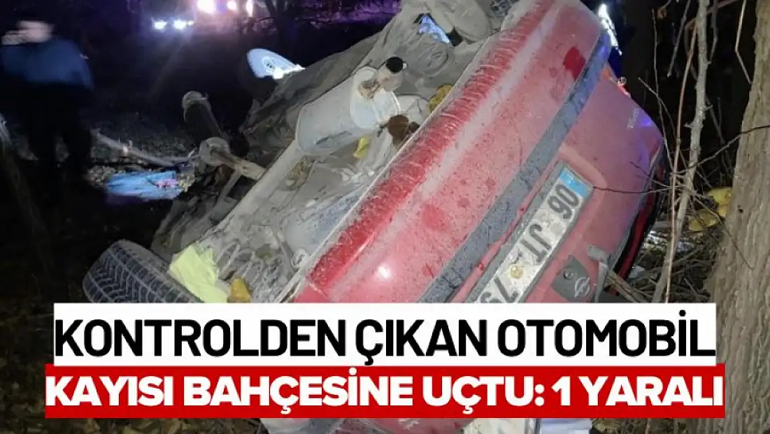 Kontrolden çıkan otomobil kayısı bahçesine uçtu: 1 yaralı
