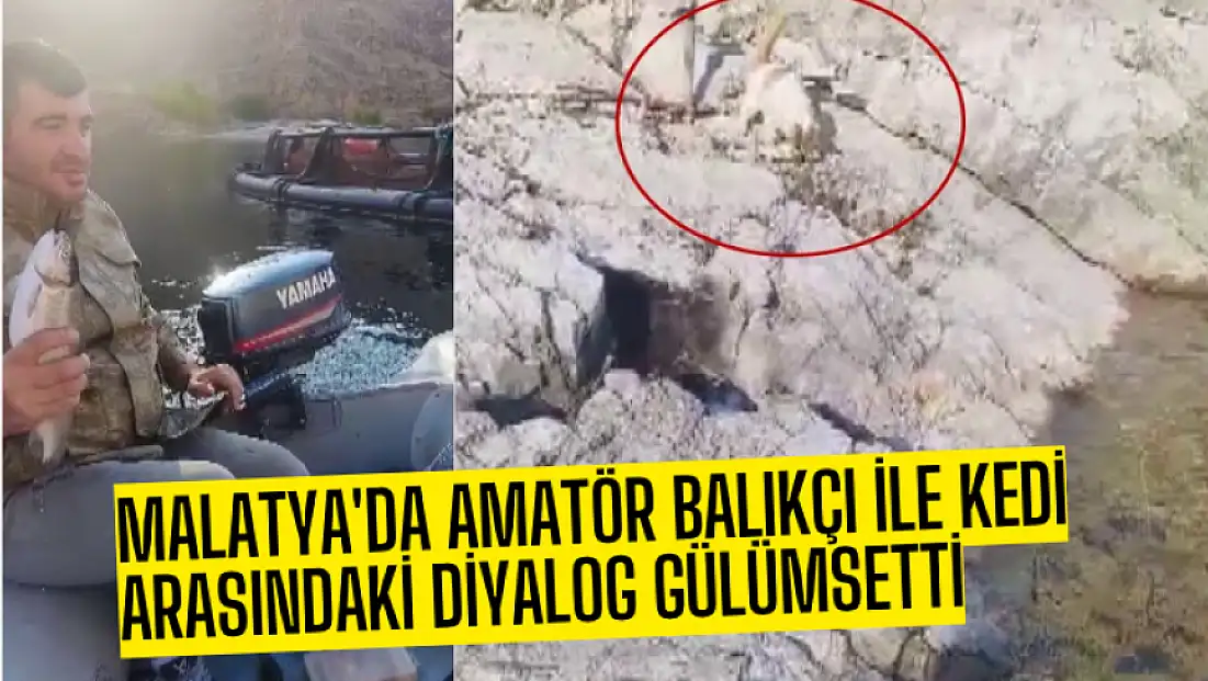 Malatya'da amatör balıkçı ile kedi arasındaki diyalog gülümsetti