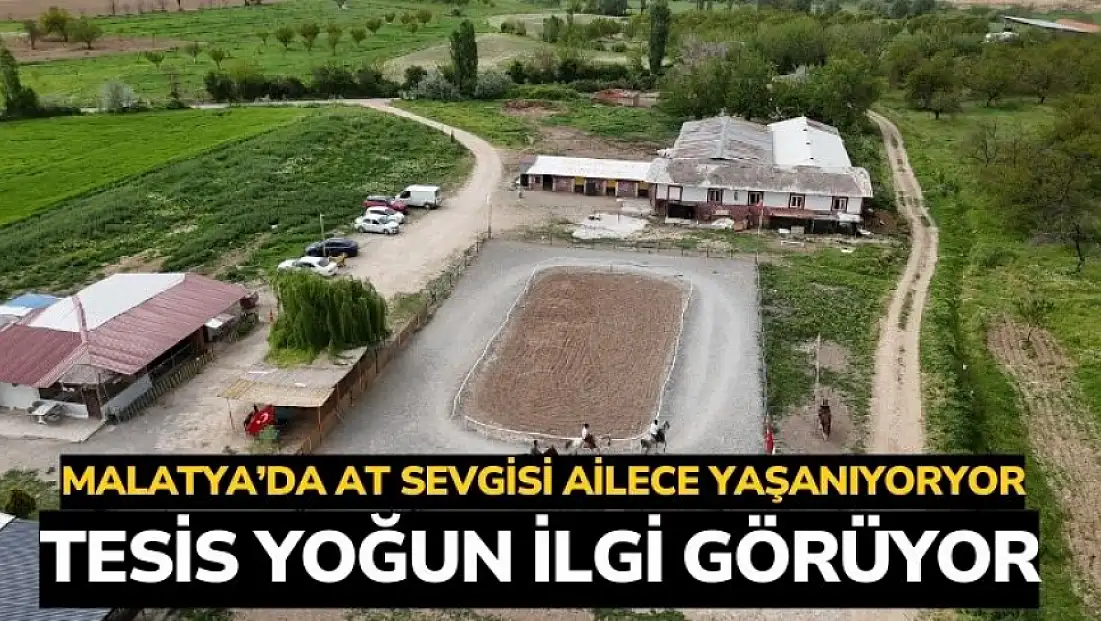 Malatya’da at sevgisi ailece yaşanıyor, tesis yoğun ilgi görüyor