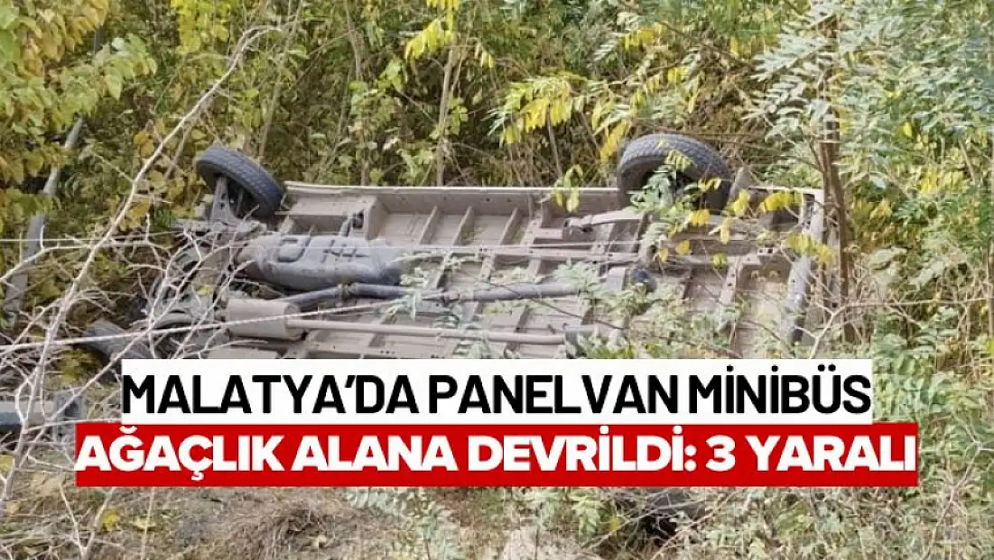 Malatya’da Panelvan Minibüs Ağaçlık Alana Devrildi: 3 Yaralı