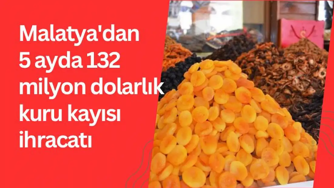 Malatya'dan 5 ayda 132 milyon dolarlık kuru kayısı ihracatı