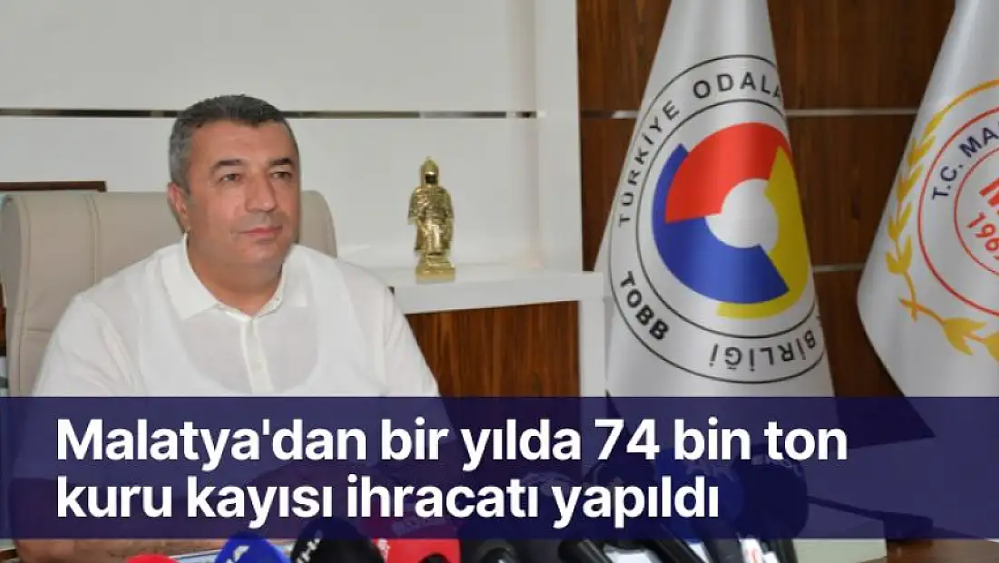 Malatya'dan bir yılda 74 bin ton kuru kayısı ihracatı yapıldı