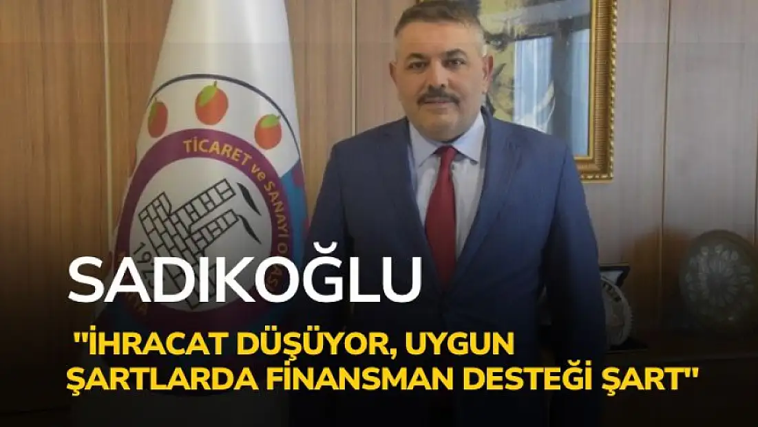 Sadıkoğu: 'İhracat düşüyor, uygun şartlarda finansman desteği şart'