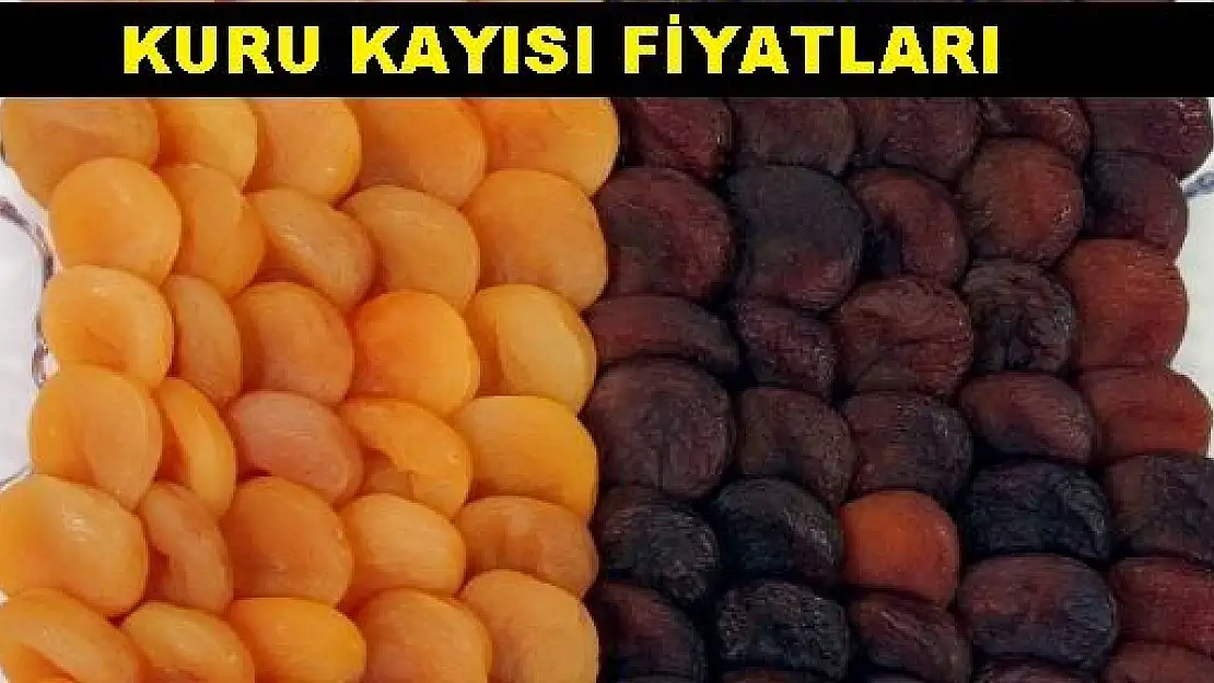 GÜNCEL KURU KAYISI FİYATLARI