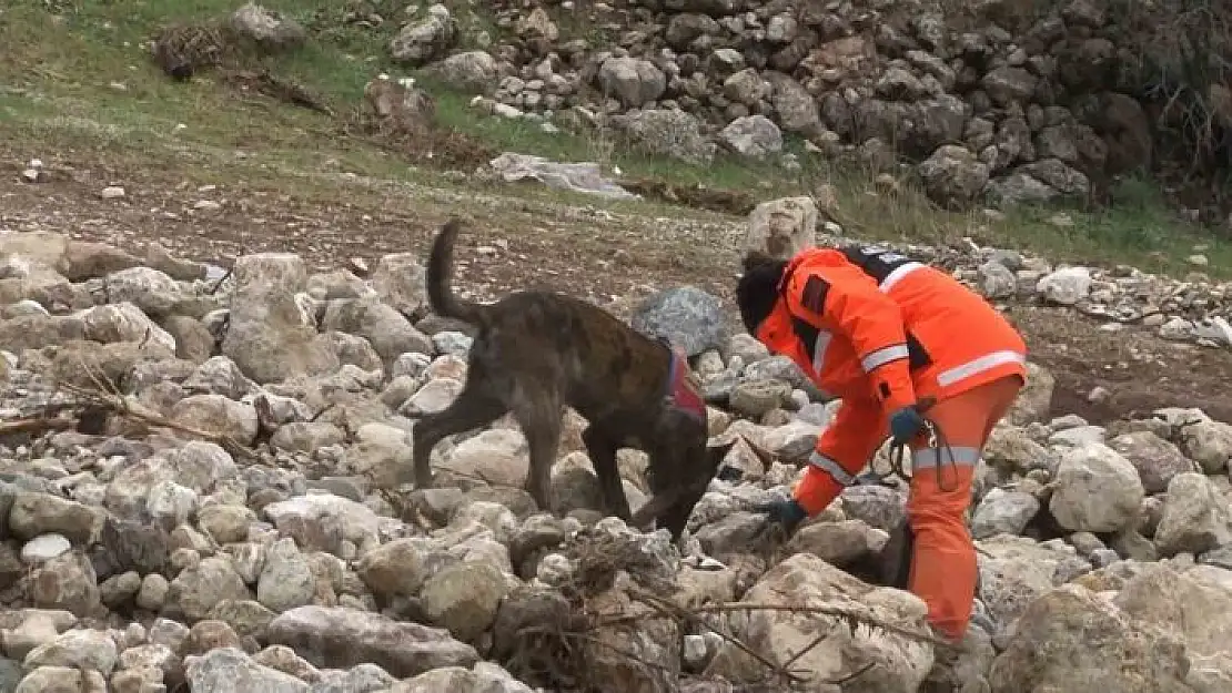 '1,5 yaşındaki Zeynep hassas burunlu köpek ile aranıyor'