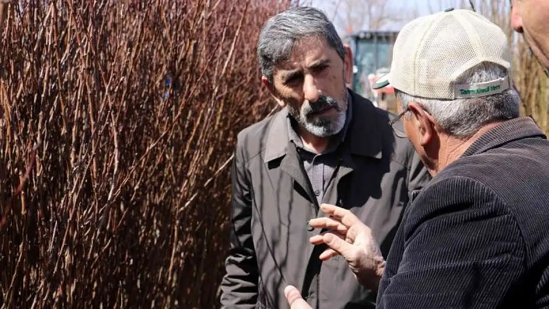 '10 bin meyve fidan toprakla buluşacak'