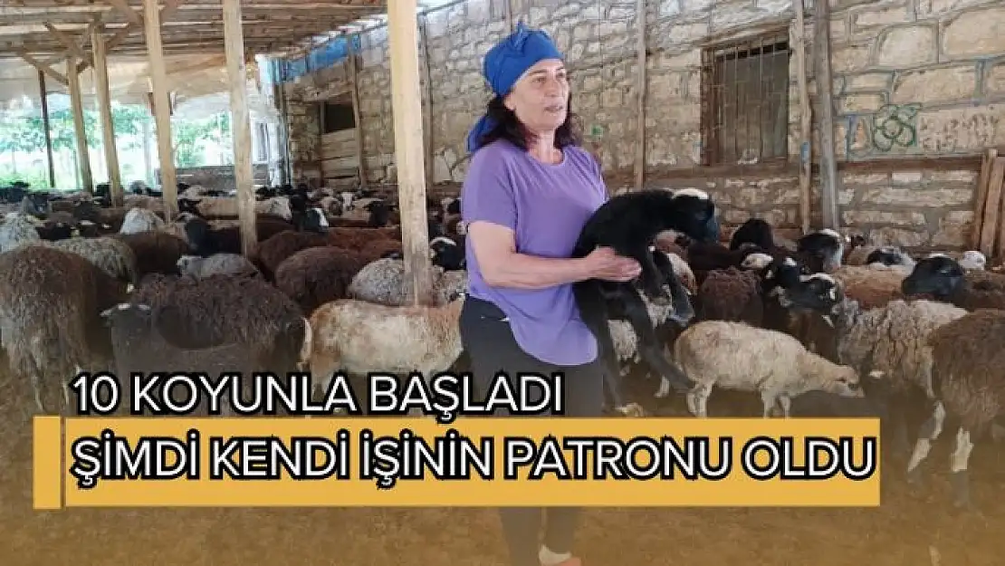 10 koyunla başladı, şimdi kendi işinin patronu oldu