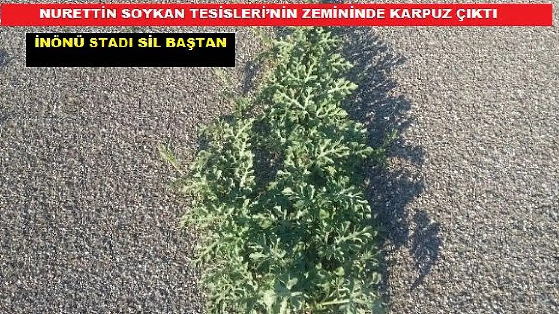 İnönü Stadı Baştan Aşağı Yenileniyor