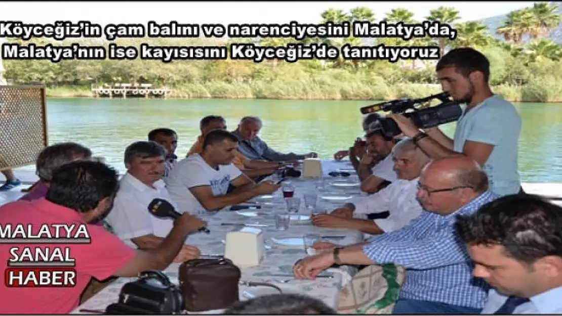 Malatya´nın  kayısısını Köyceğiz´de tanıtıyoruz
