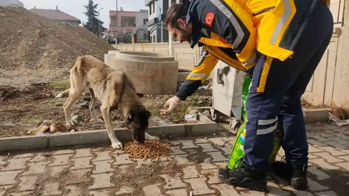 '112 Personellerinden sokak hayvanlarına mama desteği'