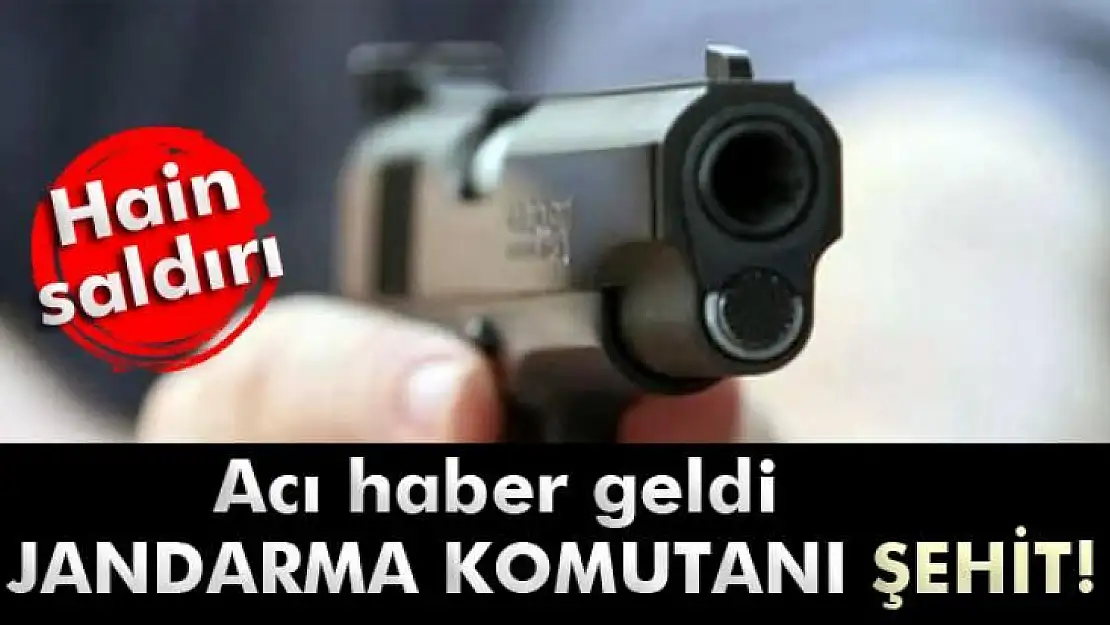 Malazgirt Jandarma Komutanı şehit oldu