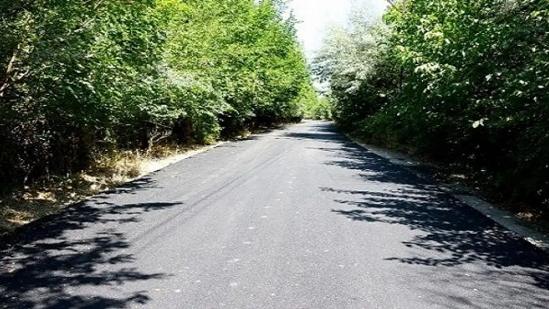 Leylekpınar Mahallesinin 4 Kilometrelik Yolu Asfaltlandı