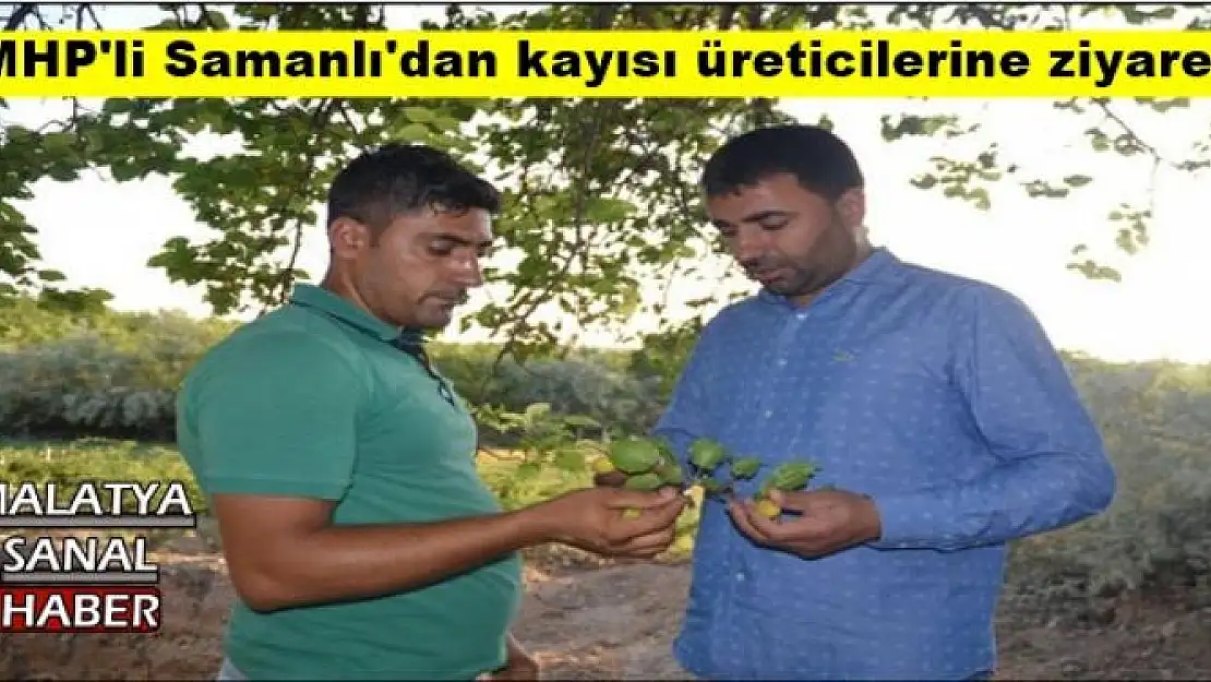 MHP'li Samanlı'dan kayısı üreticilerine ziyaret 