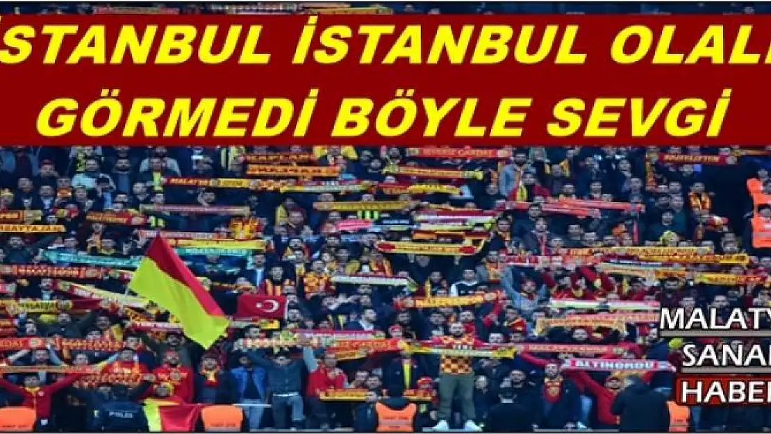 Evkur Yeni Malatyaspor: 2 - Altınordu: 0