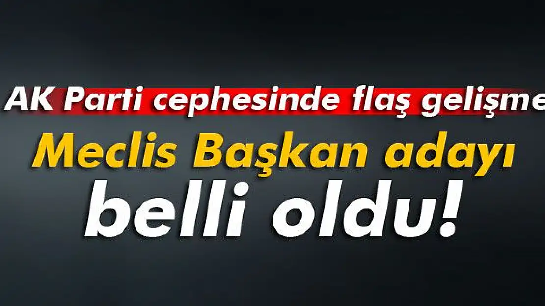AK Parti'nin Meclis Başkan adayı belli oldu