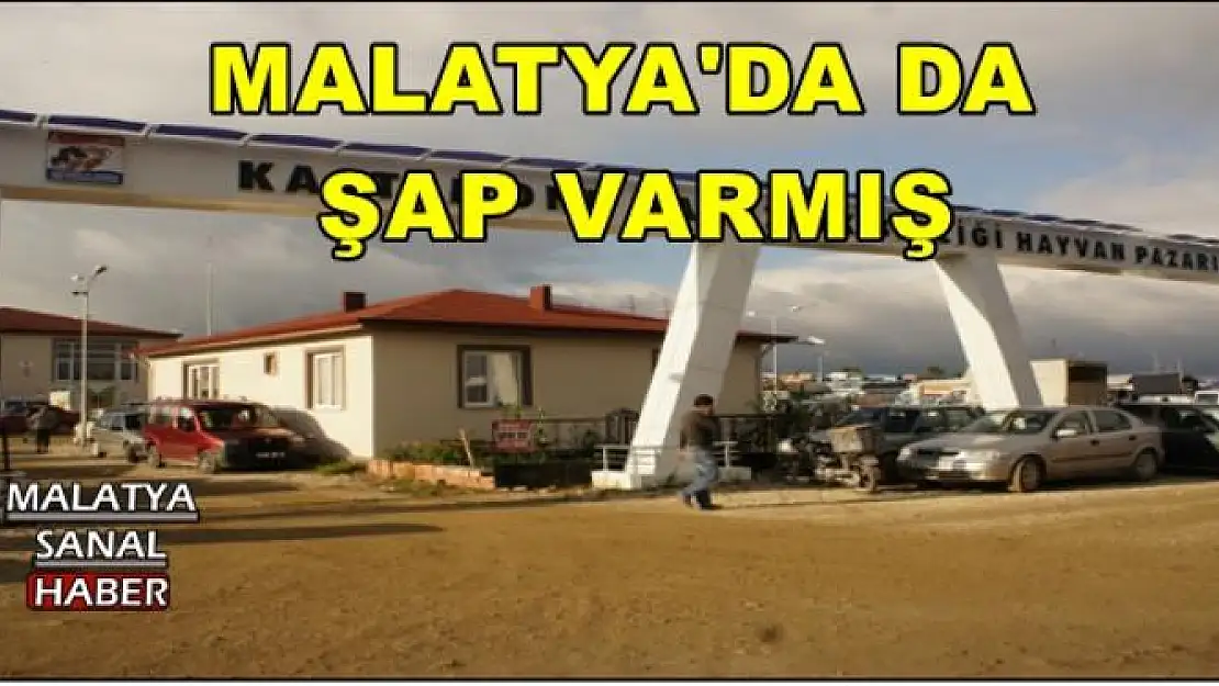 MALATYA'DA DA  ŞAP VARMIŞ