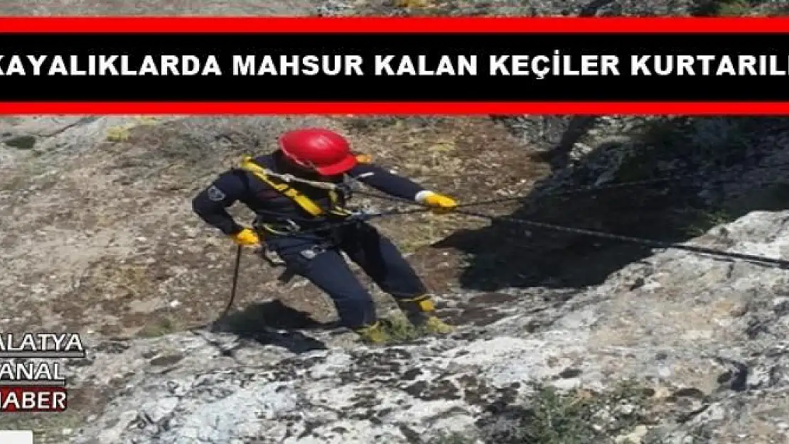 MALATYA'DA KAYALIKLARDA MAHSUR KALAN KEÇİLER KURTARILDI