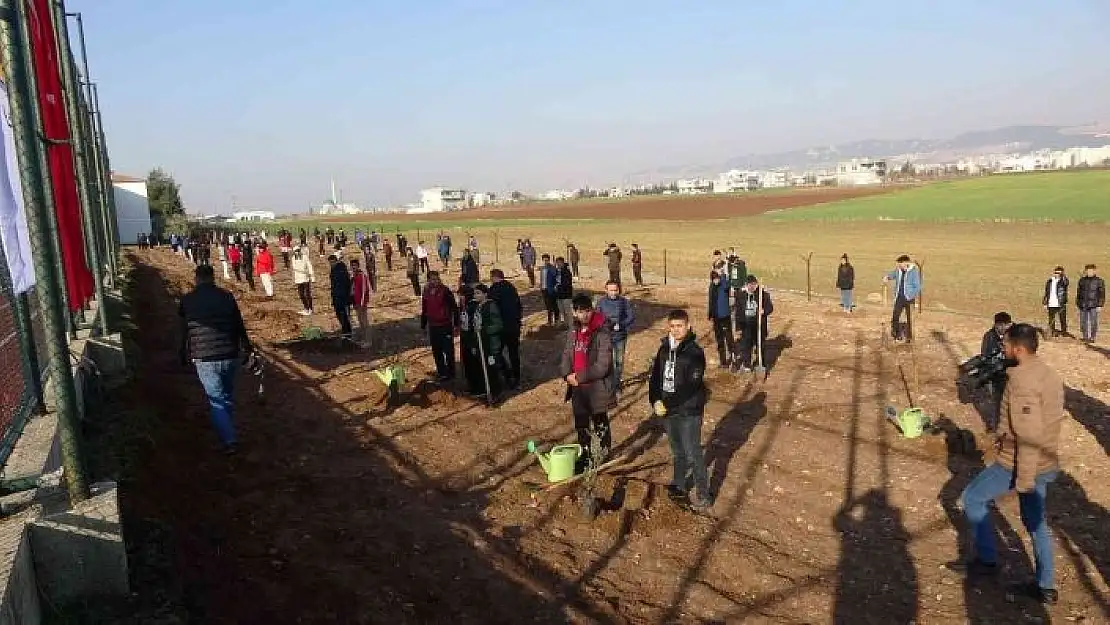 '15 Temmuz şehitleri anısına 251 zeytin fidanı dikildi'