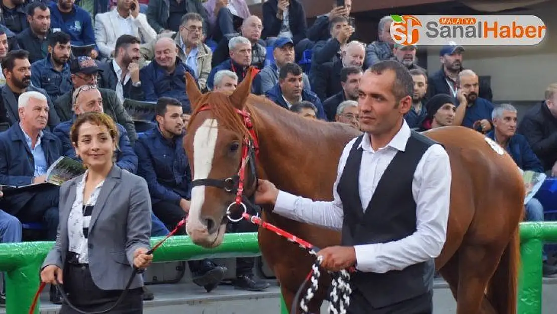 Toplam 3 milyon 445 bin TL gelir elde edildi