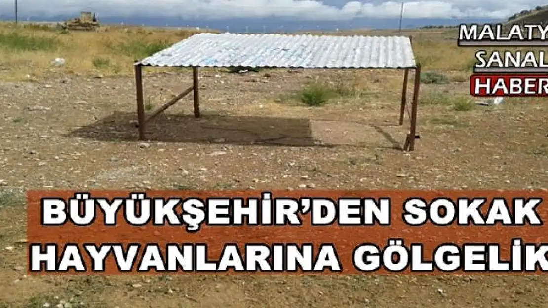 BÜYÜKŞEHİR´DEN SOKAK  HAYVANLARINA GÖLGELİK