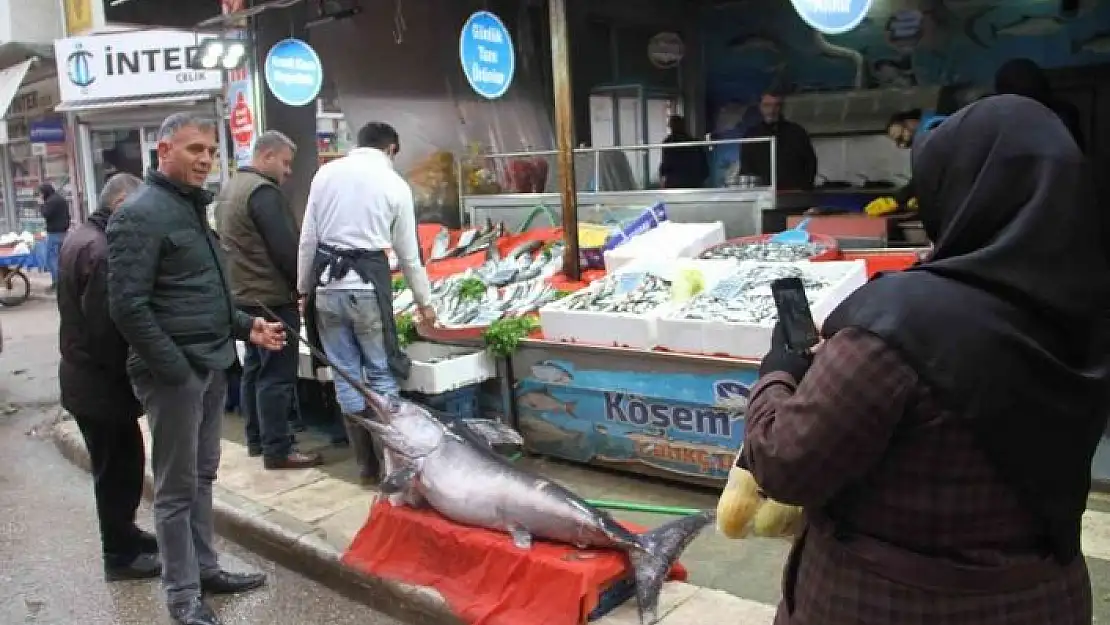 '2 metrelik kılıç balığı ilgi odağı oldu'