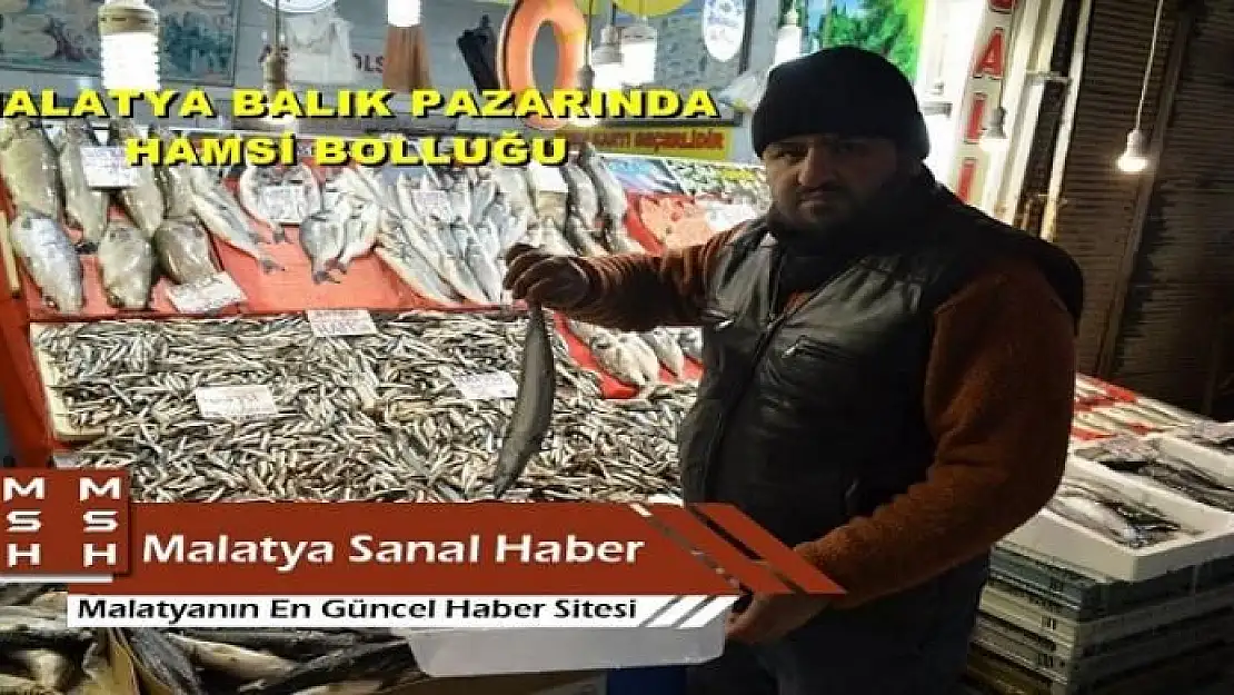MALATYA BALIK PAZARINDA HAMSİ BEREKETİ YAŞANIYOR