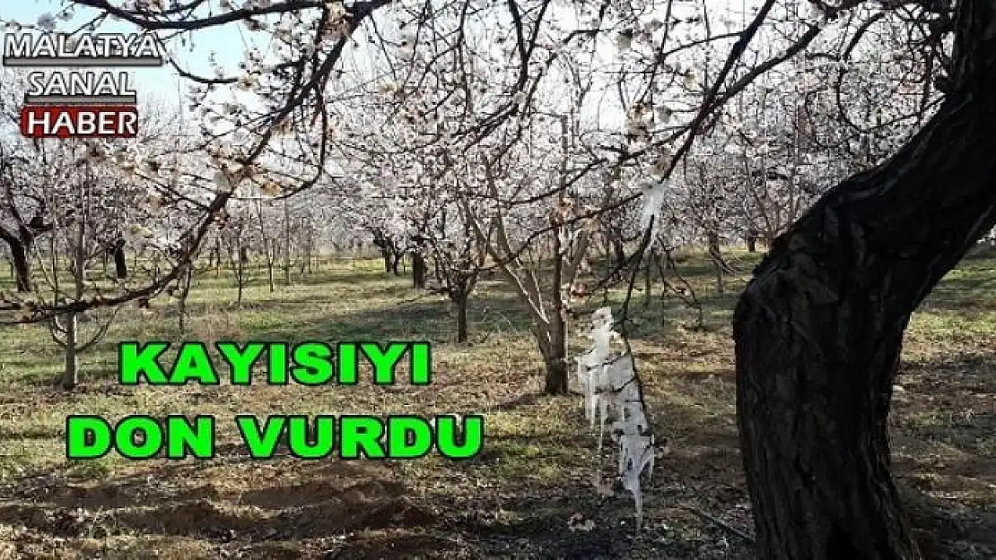 DÜNYA BU YIL DA KAYISIYI AZ TÜKETECEK