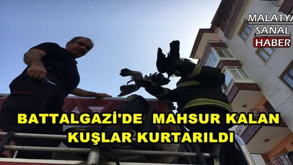 BATTALGAZİ'DE  MAHSUR KALAN  KUŞLAR KURTARILDI