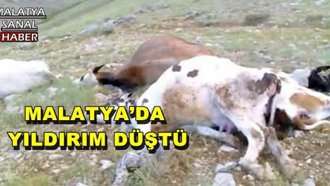 MALATYA´DA  YILDIRIM DÜŞTÜ