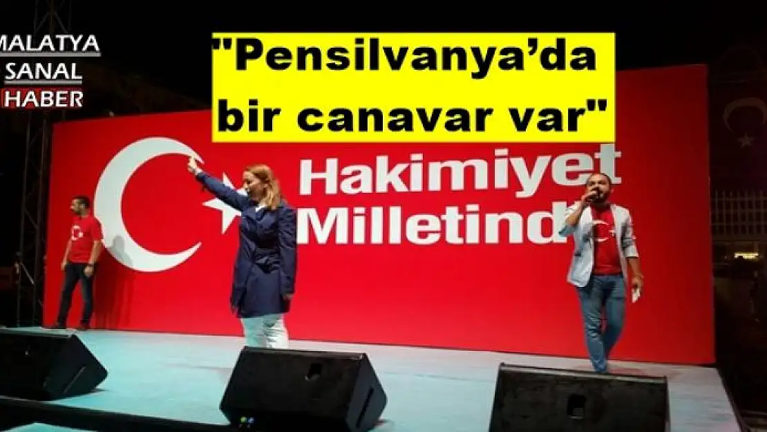 ÇALIK: Pensilvanya´da bir canavar var