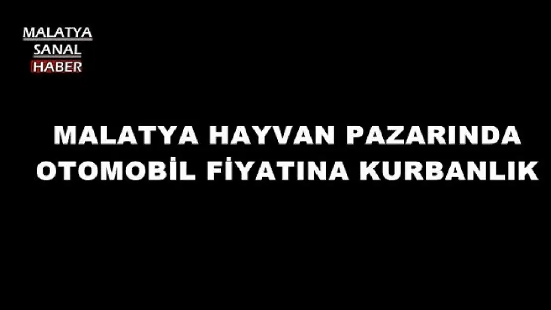 MALATYA HAYVAN PAZARINDA  İKİNCİ EL OTOMOBİL FİYATINA KURBANLIK
