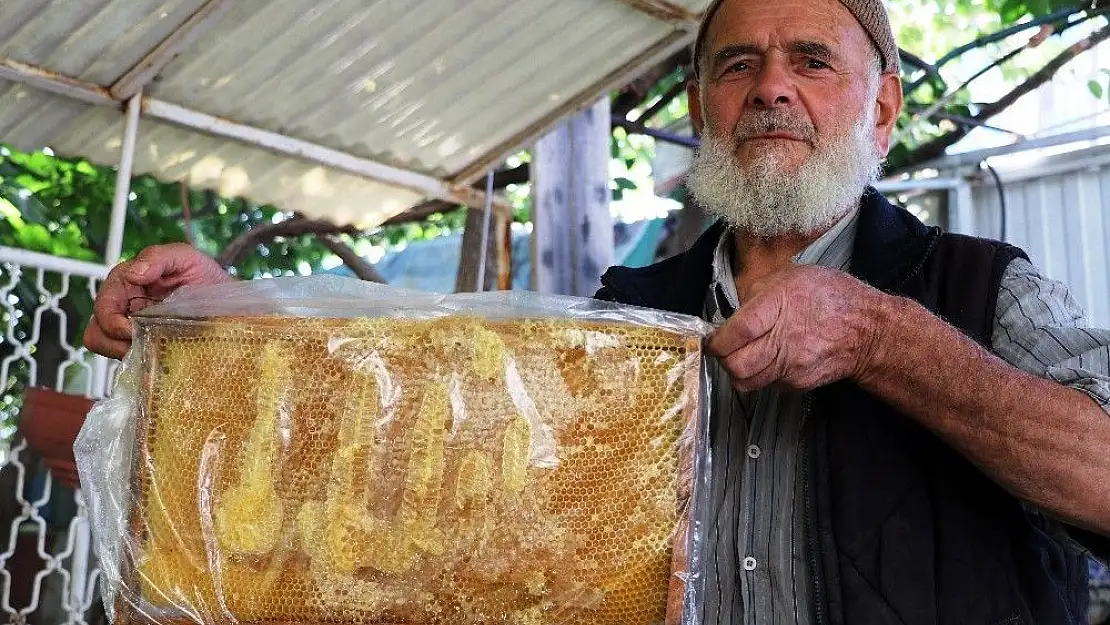Malatya'da Bal peteğinde şaşırtan figür