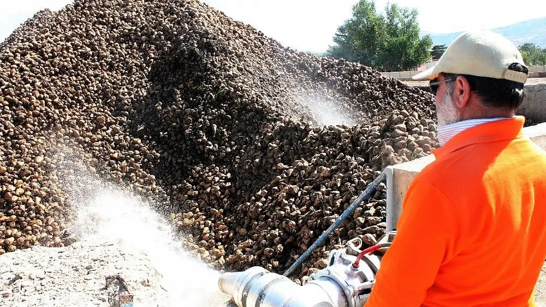 'Pancar üretimi yüzde 110 arttı, son 10 yılın rekoru kırıldı'