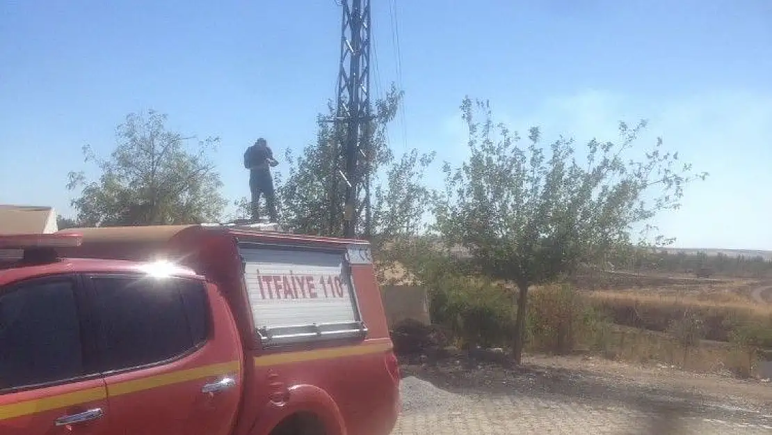 'Yanan leylek yuvasını itfaiye ekipleri söndürdü'