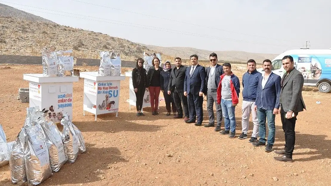 'Sokak hayvanları için mama, kulübe ve beslenme odağı desteği'