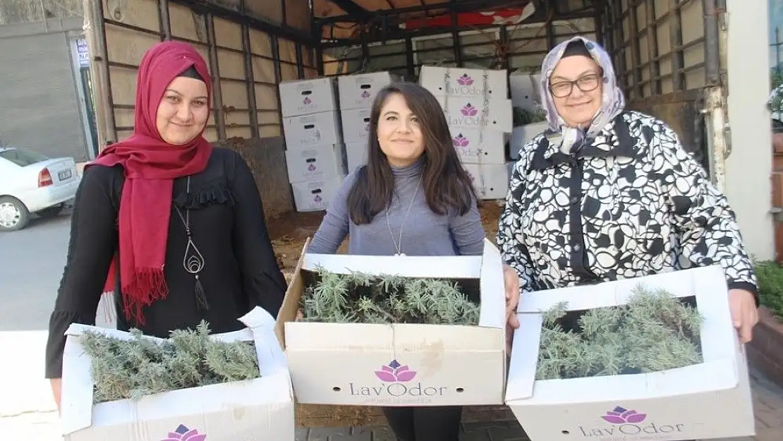 'Kadın çiftçilere 12 bin adet lavanta fidesi dağıtıldı'