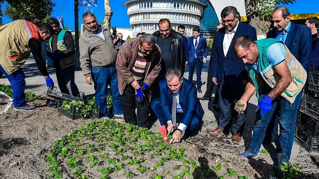 'Başkan Çakır, işçilerle birlikte çiçek dikti'