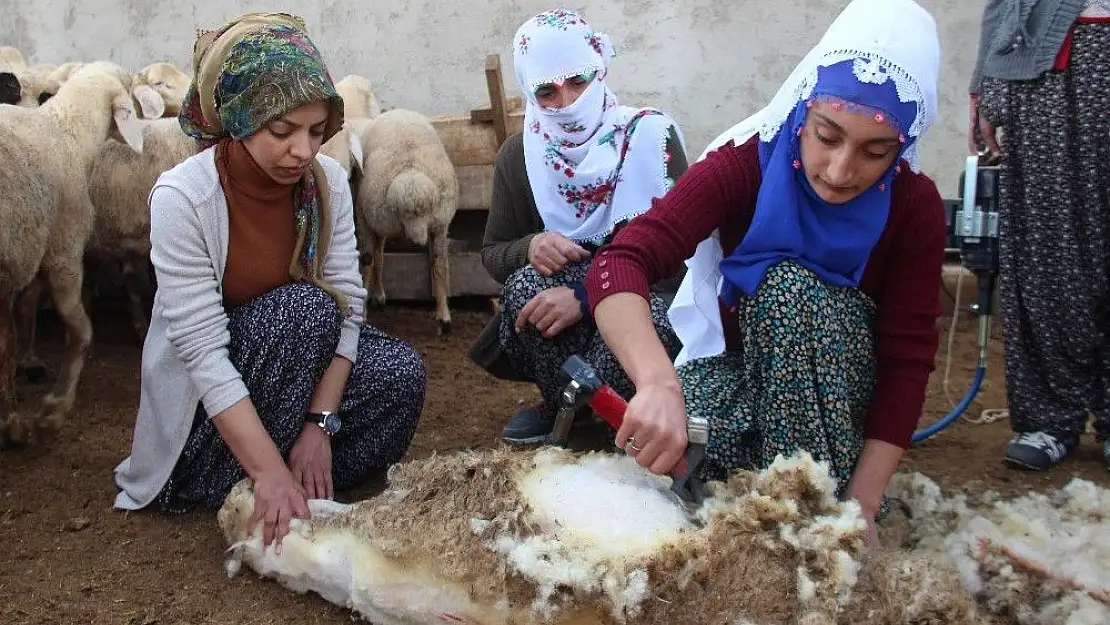 'Kadınlar, erkeklerin işini elinden aldı'