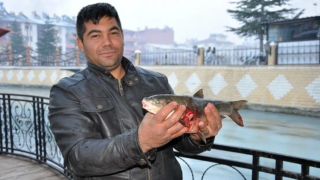 'Ceyhan Nehri´nde toplu balık ölümleri yaşandı'