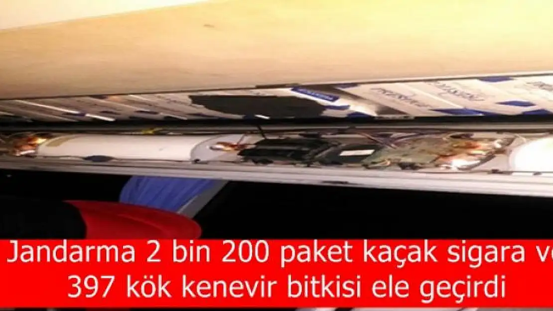 Jandarma 2 bin 200 paket kaçak sigara ve 397 kök kenevir bitkisi ele geçirdi