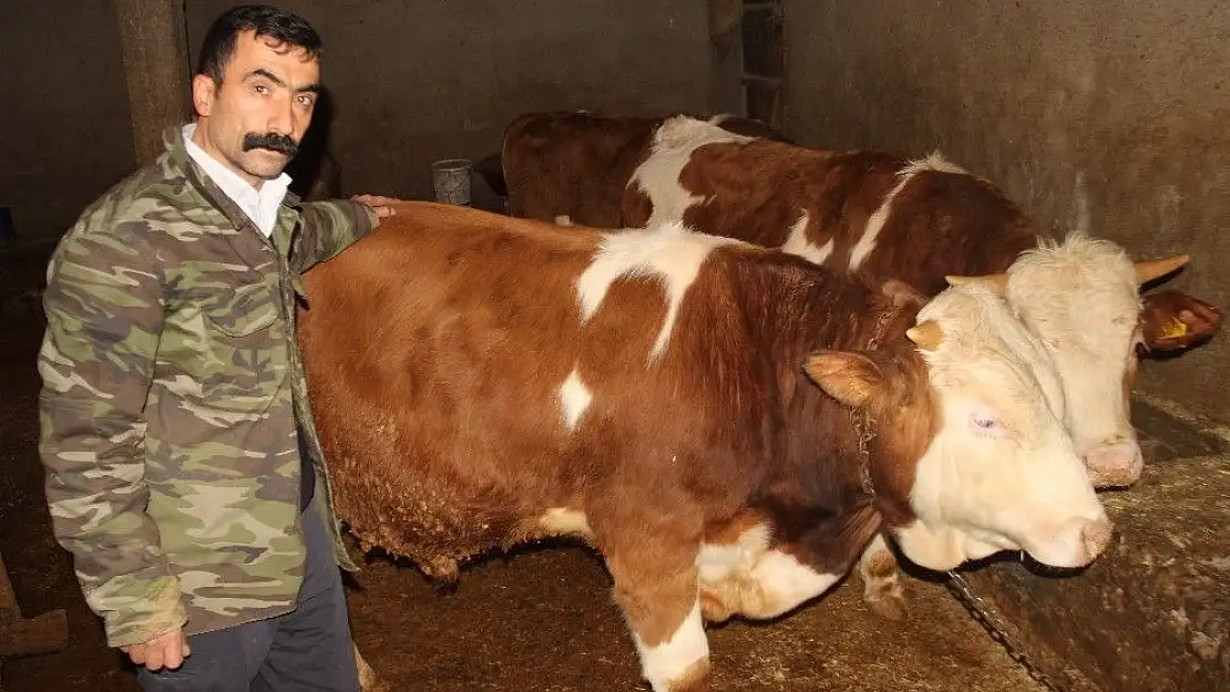 '´Ayyıldız´a 50 bin lira verdiler satmadı'