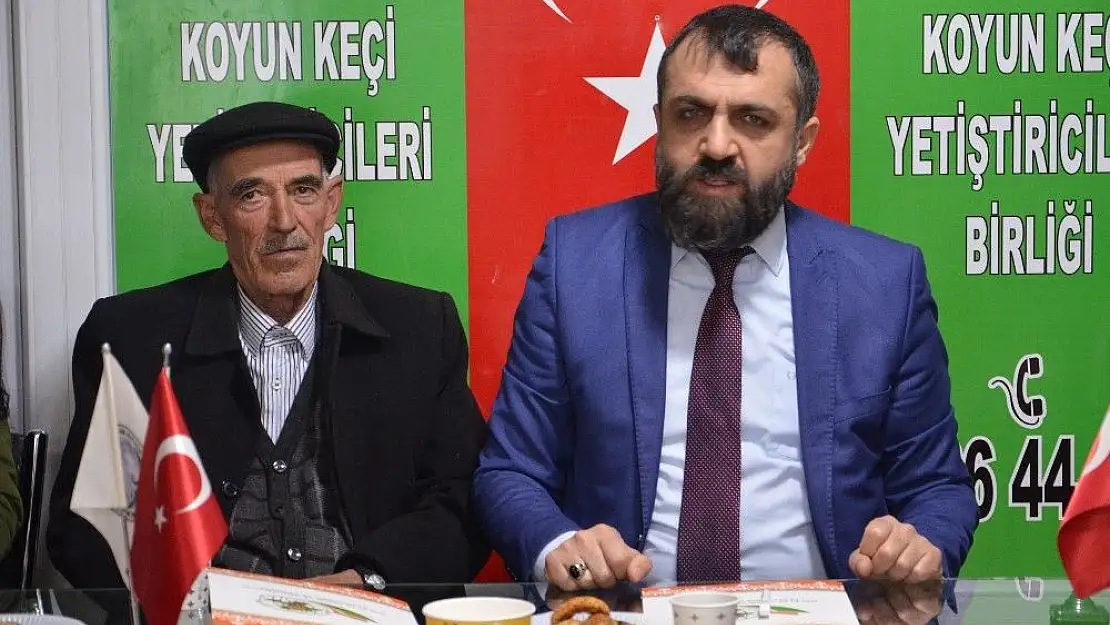 '`Koyun kırkım´ kursu başladı'