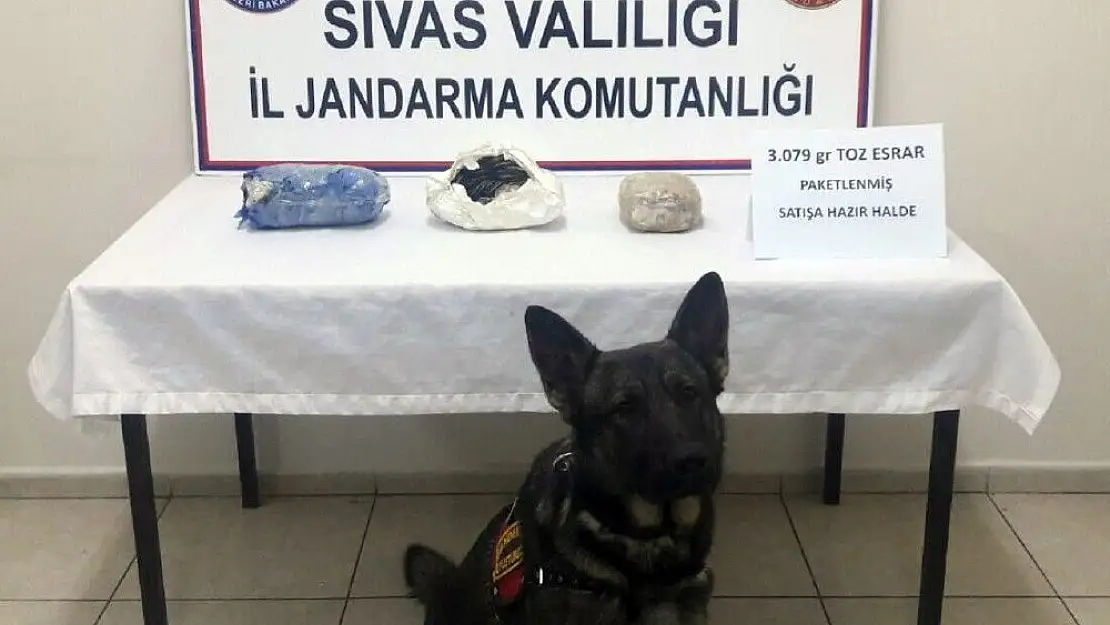 'Yolcu otobüsünde 3 kilo esrar ele geçirildi'