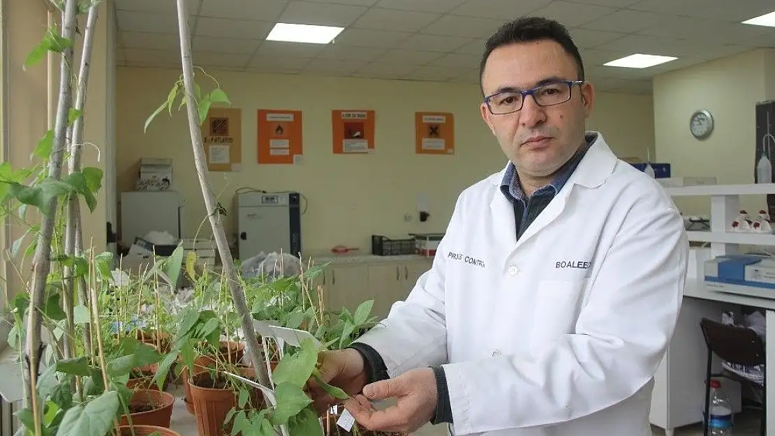 '''Çiftçiler kuraklığa dayanıklı tohumlar seçmeli'''