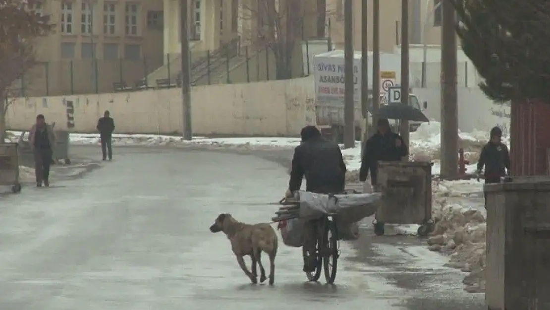 'Köpeği bisikletin arkasına bağlayarak koşturdu'
