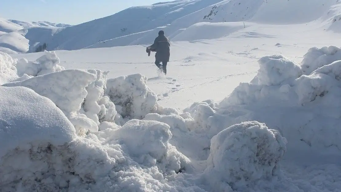 Malatya'da Yaban hayvanlarını unutmadılar