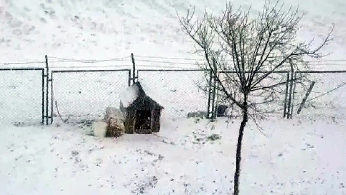 'Sivas´ta kar yağışı etkili oldu'