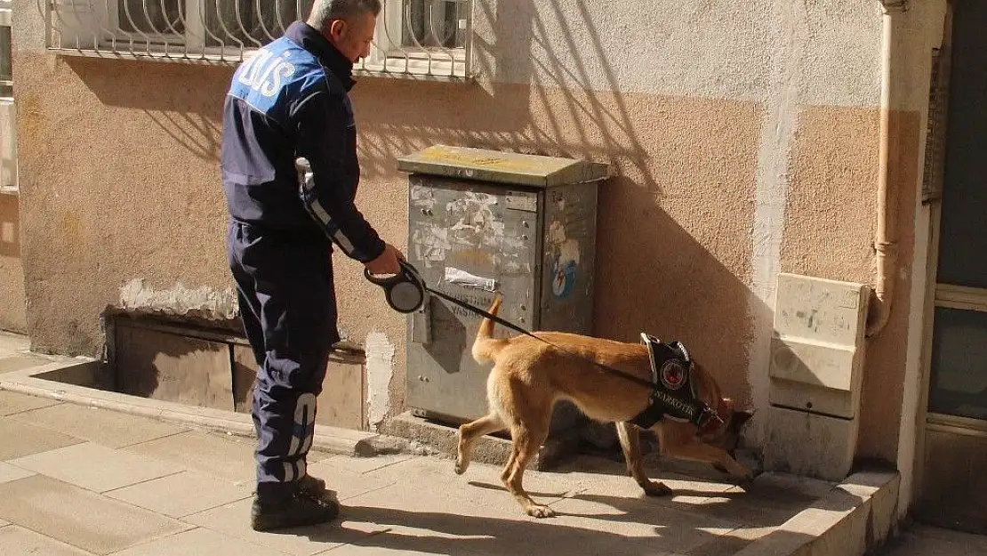 'Narkotik köpeği ´Eva´nın huzur mesaisi'